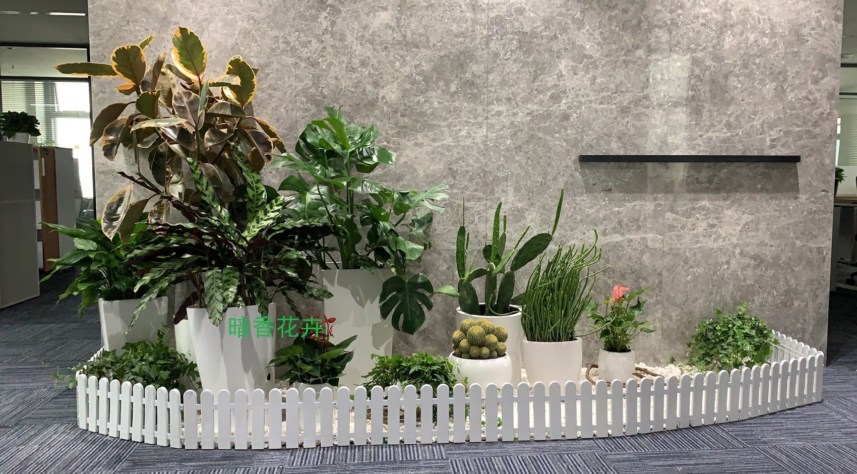 花木租摆 花木租赁